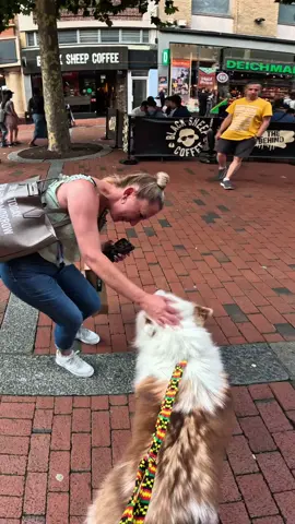 Interactions with my dog!!  #violasnow #famous #europe #travel #fyp 