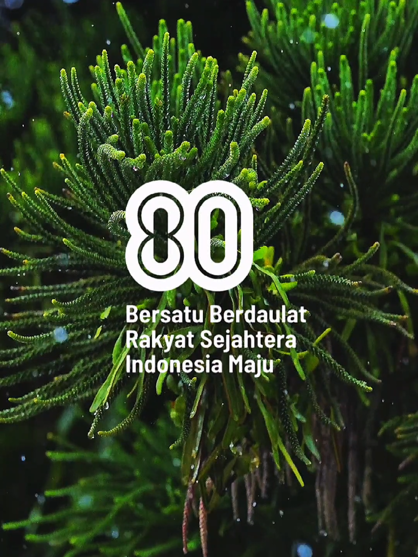 HUT RI 80 #CapCut #templatecapcut #17agustus2025 #hutrike80 #hutri80 #hutri80indonesia🇮🇩 #dirgahayuri80 #hutrike80indonesia🇮🇩 #tanahairku #17agustus #Vlog #cinematic #trend #viral #capcut_edit 