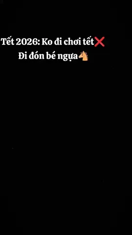Tết đi đón bé ngựa #bedangyeu #mongcontungngay #bengua