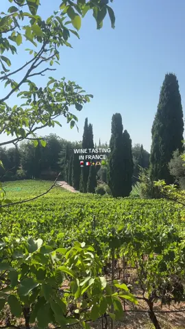 the most amazing day 🫶🏻🍷🇫🇷 #winetasting #france #nice #europe #summertravel 