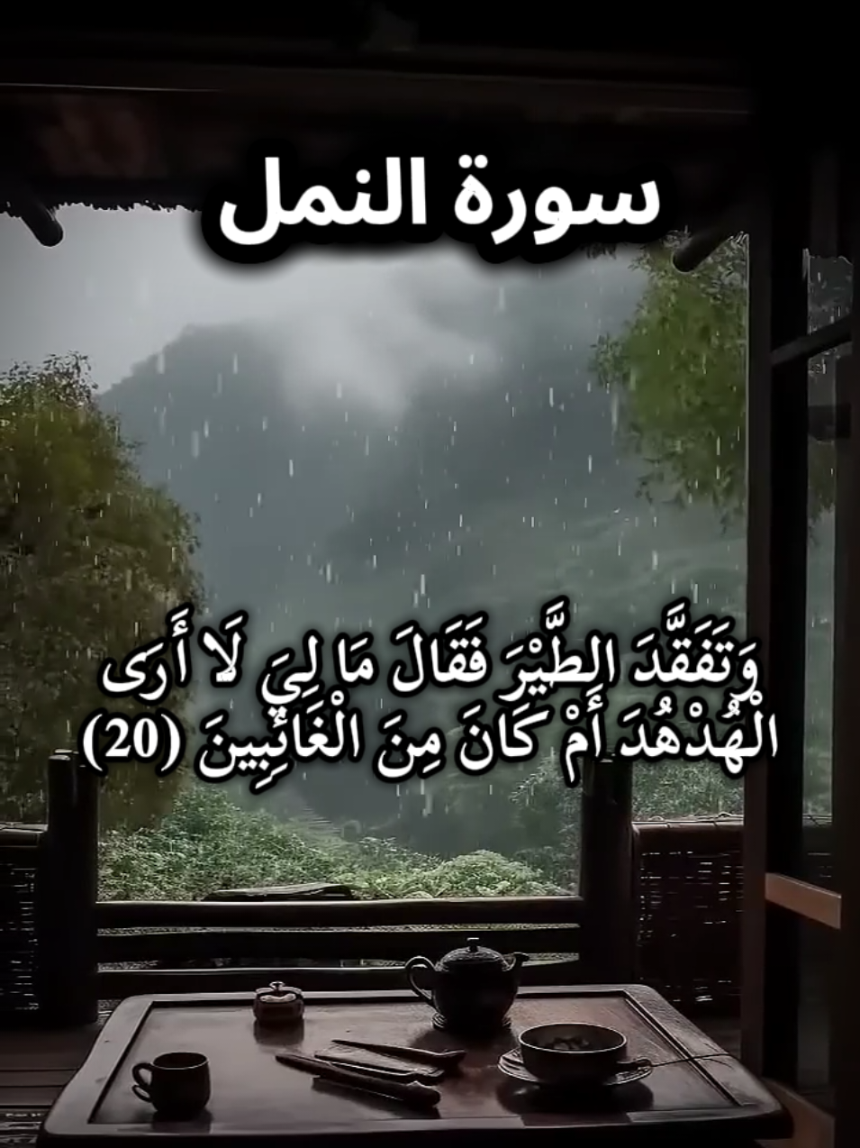 سورة النمل @A_A_A 