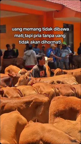 kenyataan😌#peternakmuda #juragan #beranda #storytime #fyp 