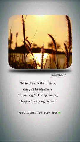 Nhìn thấy rồi thì im lặng, quay về tự sửa mình. Chuyện người không cần dự, chuyện đời không cần lo.🍃 #dumbo #binhyen #trending #fyp #baihoccuocsong 
