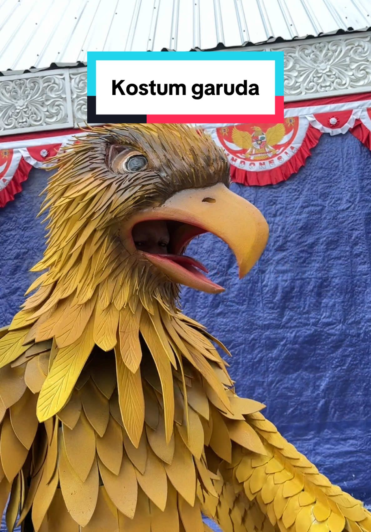 Kostum garuda finishing cat🎨 #kostumkarnaval #kostum #kostumunik #karnaval 