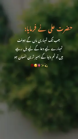 #foryou #urdupoetry #foryoupage #viralvideo #fypシ゚ 