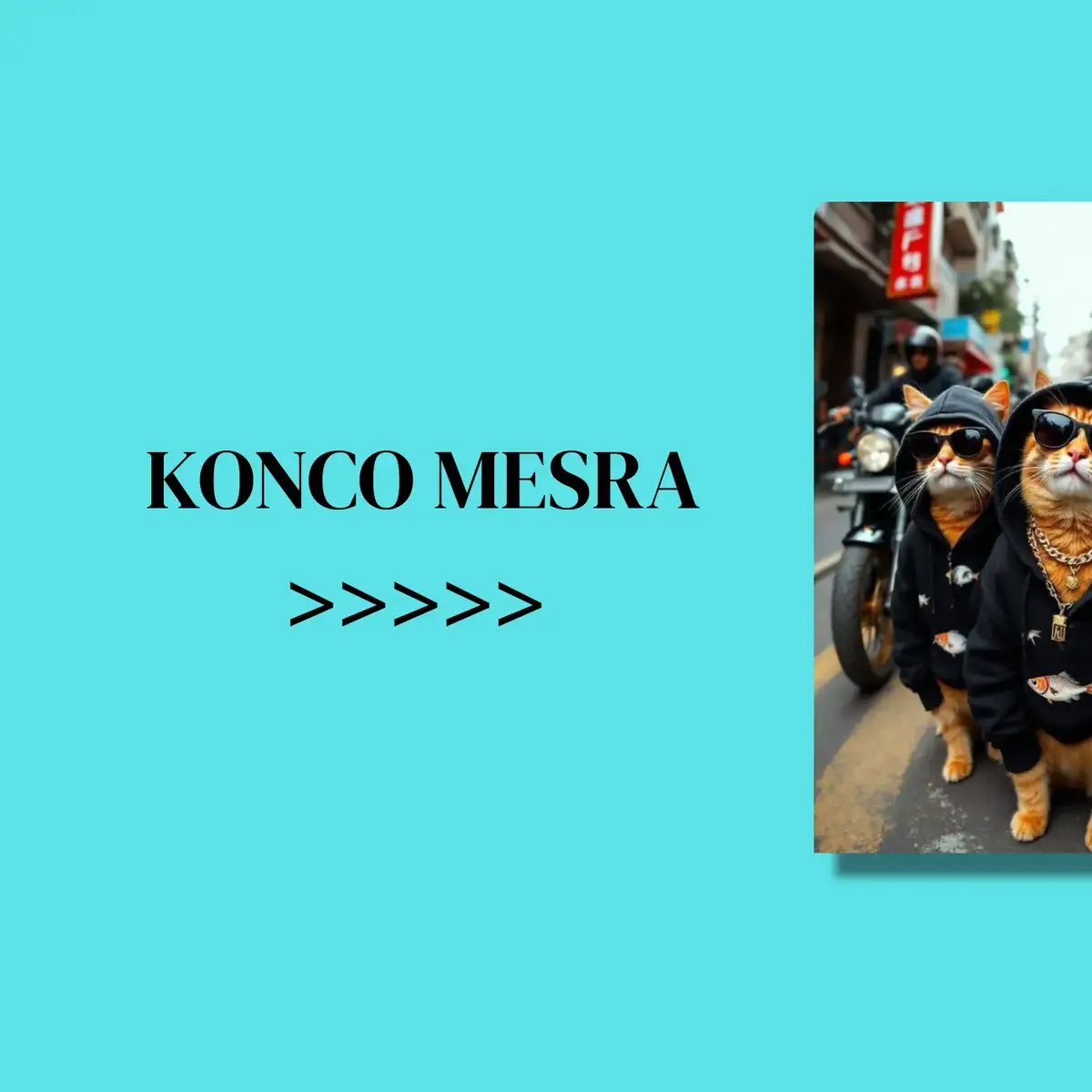 #liriklagu #liriklaguviral #koncomesra #fyp #fypage 