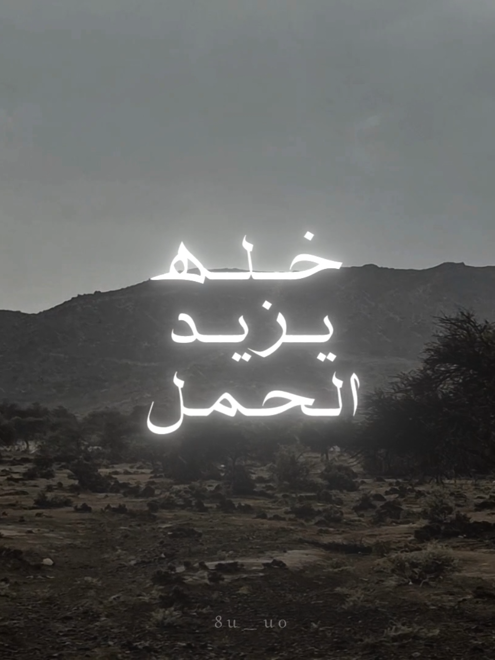 #صالح_ال_مانعه #اكسبلورexplore #fyp #fypシ 
