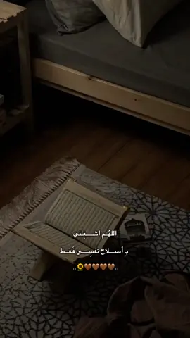 - 🤎🤎🤎🤎🌻:  #مِــــــيلدا #fyp #فوريو_foryou 