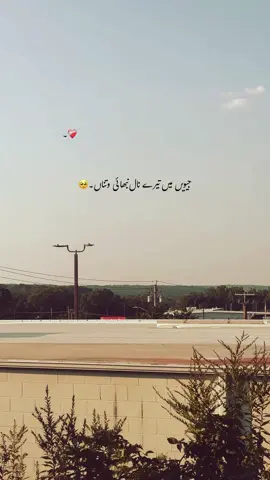 جیویں میں تیرے نال نبھائی وتناں۔🦋🥹❤️‍🩹#foryou #foryourpages #poetry #aesthatic #poetrystatus @𝙝𝙞𝙨 𝙦𝙪𝙚𝙚𝙣<3🌸🤍 