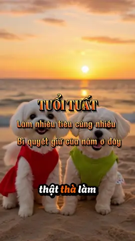 Tuổi Tuất - Bí Quyết Giữ Của Ở Đây #vantaihanhthong #xh #labode12congiap #12congiap #tuoituat 