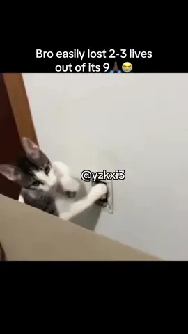 #yzkxi3 #fy #meme 