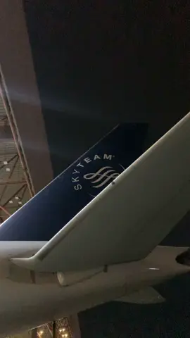 Swing Test LG up-down #plane #airplane #foryoupage #b777300er #POLBAN 