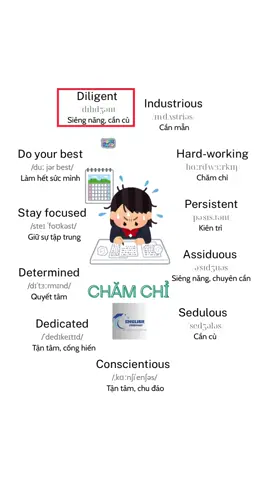 Các từ tiếng ạh liên quan đến chăm chỉ #xuhuong #fyp #english #hoctuvungtienganh #englisheveryday101 