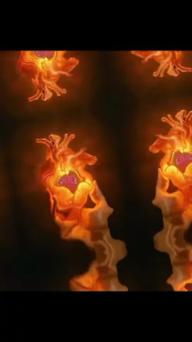 @💚🌷Video Star Editor 🥂⚰️ এর সাথে #ডুয়েট @🦅 𝚄††𝙷ᴬ ᴠᴀɪ 🦅 #🥹🥹🥹🥺🥺💔💔 😅😅😅🥹🥹🥹. Me. 