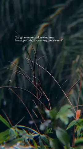 Langit pun menumpahkan rindunya lewat gerimis.. #katakata #story #quotes #gerimis #vibehujan #hujan #rindu #katabijak #storytime  #bangvihans 