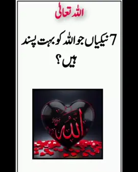 Allah ko 7 nekya bahot pasand hai💢💢 #foryou#viraltiktok #islamic_video #unfreezmyaccout #fyp 
