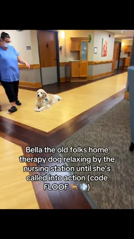 I’m on the clock Suga #fyp #nursinghome #therapydog #dogsoftiktok #goldenretriever 
