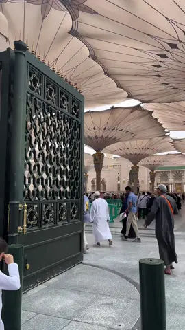 #المسجد_النبوي #المدينة 