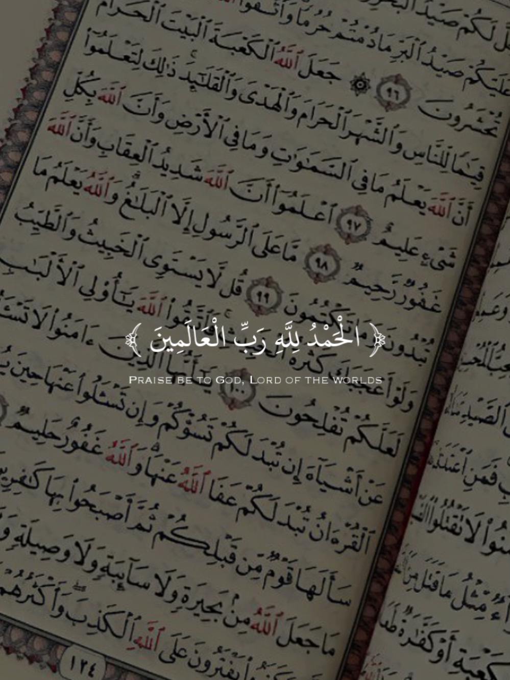 Peaceful Quran Recitation  #quran #quran_alkarim #MuslimReminder #quranrecitation #USA 