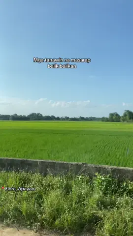 Mga tanawin na masarap balik balikan. Khit malayo uuwian mo kc hindi pwedeng hindi. Simple but very satisfying. You dont need luxuries to live. All you need is fresh air to breath. With your love ones beside you to enjoy the view. Nature have so much to offer. Just look around and you’ll see.🍃⛰️ Apayao Ypasindayaw! #provincelife #ifugao #cordillera #findyourselfinthecordilleras #igorot  Vast field plain, Somewhere in Malayugan, Flora, Apayao. 