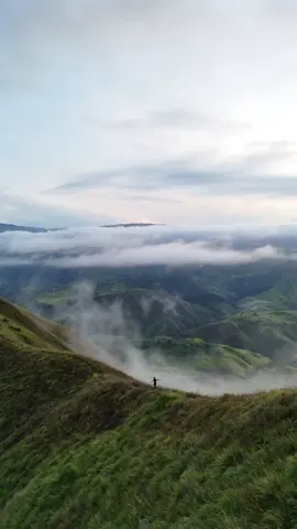 I left my heart in BUKIDNON🥹🫶 special thanks to kuya @Paw Travels & Drone Shots for this chada nga drone shots😍👌🏼 #bukidnon #panimahawaridge 