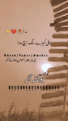 #foryou #fyp #urdushayari #punjabipoetry #kawishtamimi 