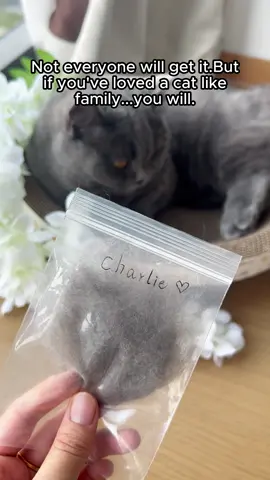 Charlie’s memorial piece with his fur ❤️#tiktok #tiktokshop #fyp #gift #catsoftik 