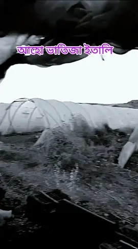 টোনাল