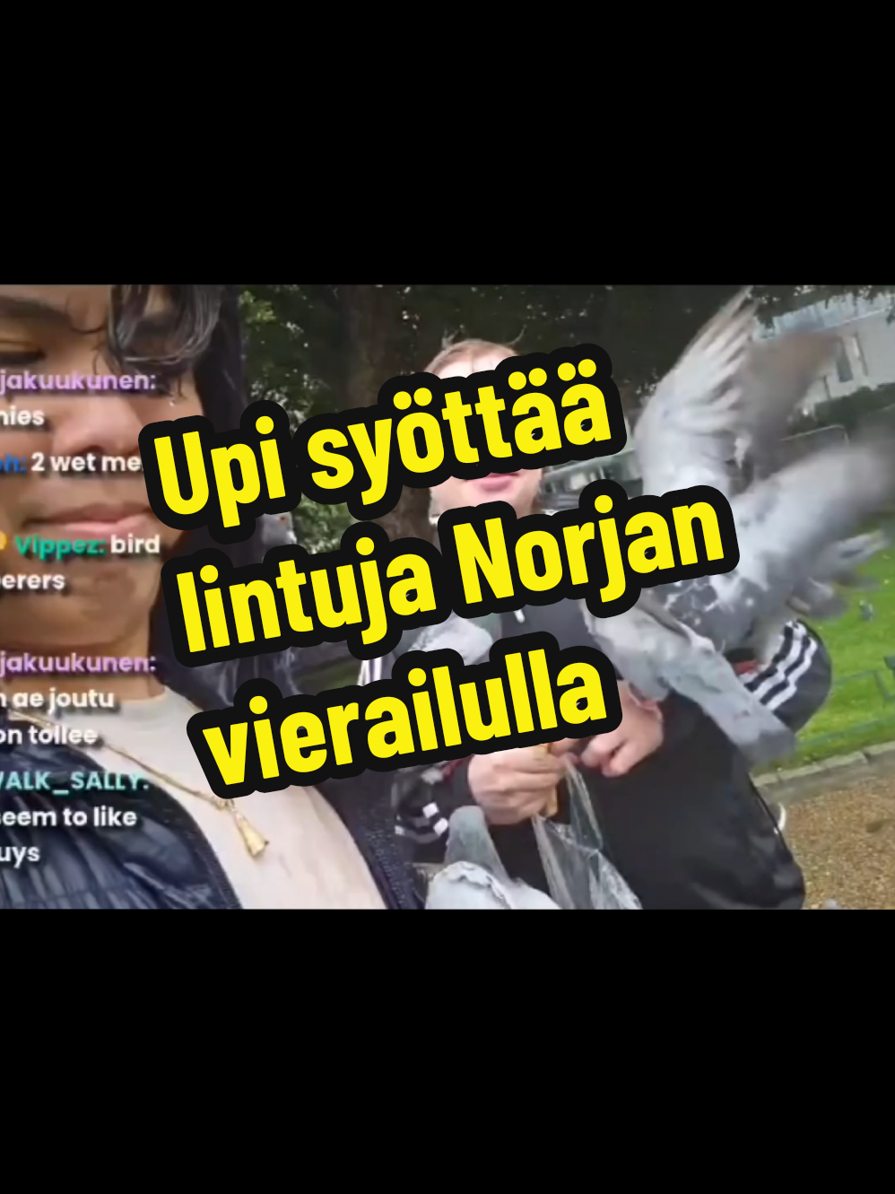 #paltamonlahjamaailmalle #upi #fyp #norja #sinulle 