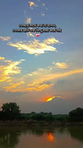 তোমার প্রতি মায়া আমার কখনোই কম হবেনা ❤️‍🩹🌸