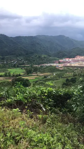 Phong cảnh mộc châu