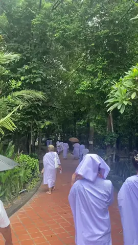 ເມື່ອຍໆກະລອງມາສະຫງົບໃຈເບິ່ງເດີ້#ວັດຊໍາປັກເເຮດ #fyp #tiktok #ປະຕິບັດທໍາ 