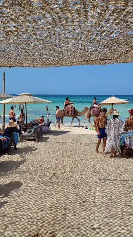 #djerba #tunisie🇹🇳 #tunisia #sea #beachvibes 