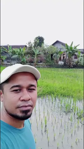 Suket teki wujut nyata  #sobatambyar 