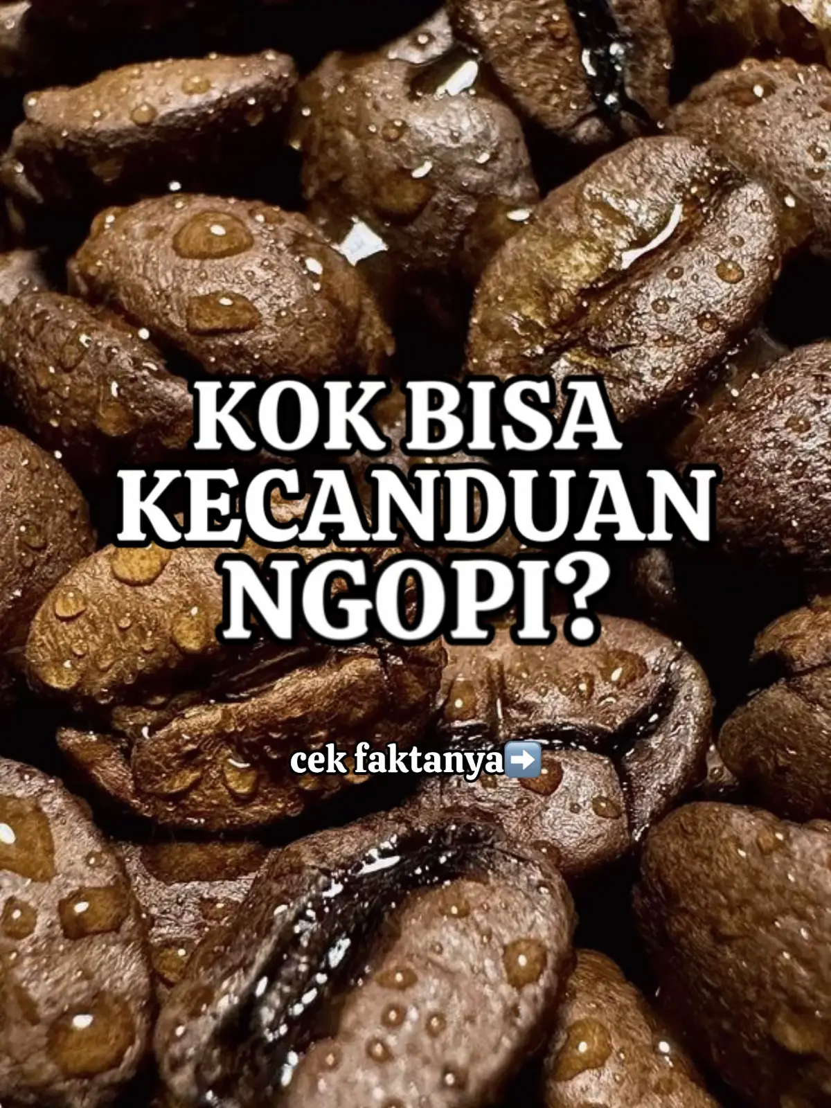 Kenapa Kopi Bisa Bikin Kecanduan? ☕️✨ 	1.	Kafein Bikin Otak ‘Hidup’ Kafein dalam kopi merangsang otak supaya kamu lebih fokus dan semangat. 	2.	Dopamin, Hormon Senang Minum kopi bikin otak lepas dopamin, yang bikin mood jadi bagus dan pengen ngulang terus. 	3.	Toleransi Tubuh Meningkat Kalau sering minum, tubuh jadi “kebal,” harus minum lebih banyak supaya efeknya terasa. 	4.	Gejala Kalau Gak Minum Sakit kepala, ngantuk, atau bad mood muncul kalau kamu tiba-tiba berhenti minum kopi. 	5.	Kebiasaan yang Sulit Dilepas Kopi jadi bagian rutinitas harian, dari pagi sampai sore, bikin kamu susah move on. 	6.	Minum Kopi Wajar, Jangan Berlebihan Kalau dosisnya pas, kopi bantu semangat dan fokus. Kalau kebanyakan, malah bikin gelisah dan susah tidur. ⸻ Jadi, kecanduan kopi itu gabungan efek kimia otak dan kebiasaan yang sudah nempel. Santai aja, asal minumnya tetap seimbang! ☕😎 #kopi #ngopi #indonesia 