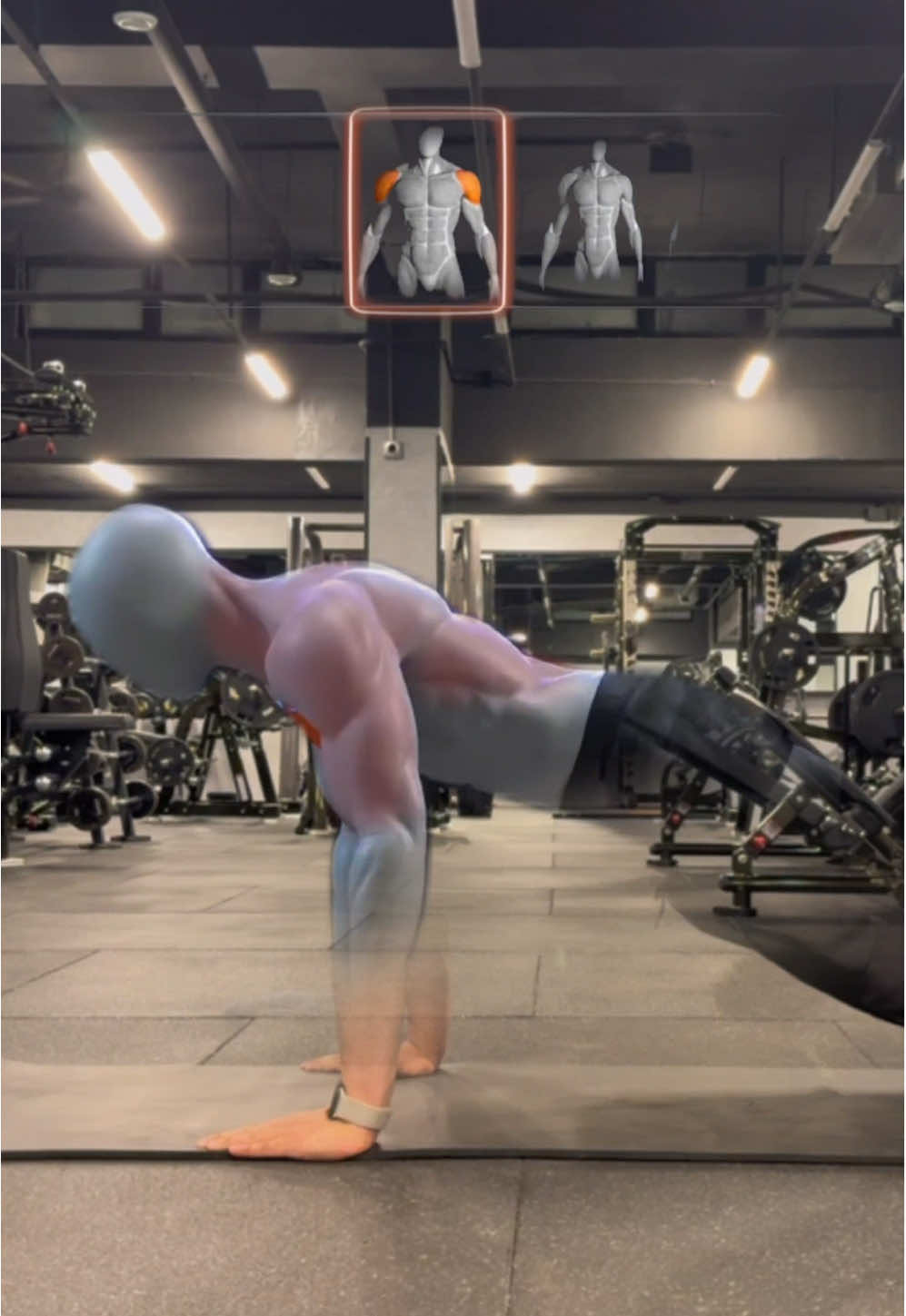 تمرين الضغط | push up . . . . . لعروض للتدريب الاونلاين ابعتلي 
