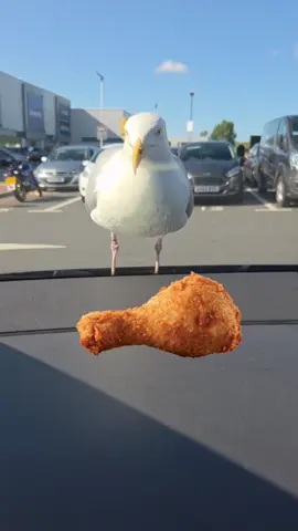 Frango Frito KFC a caminho do meu estômago feliz 🙃 #KFC #KFCPortugal #FrangoqueÉFrangoÉKFC #kfcpt 