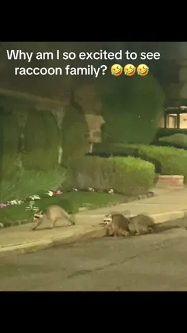 My voice?!!! Do I sound like Grinch??? #onthisday #racoonsoftiktok #soexcited 