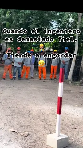 La dura verdad, hasta osito cariñosito ya nos dicen 😅#ingenierocivil #humor #loquecallamoslosingenieros #fidelidad100 #paratiiiiiiiiiiiiiiiiiiiiiiiiiiiiiii 