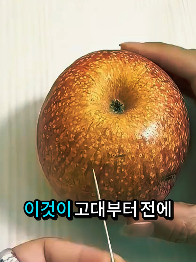 #생활꿀팁 #꿀팁 #정보 #지식 #추천