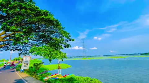 তারাও কি আমাদের হারায়, যাদের আমরা হারাই,😅#foryou #foryoupage #flowers #highlight #vairal #vairalvideo #trending #tiktok #bdtiktokofficial #unfrezzmyaccount 