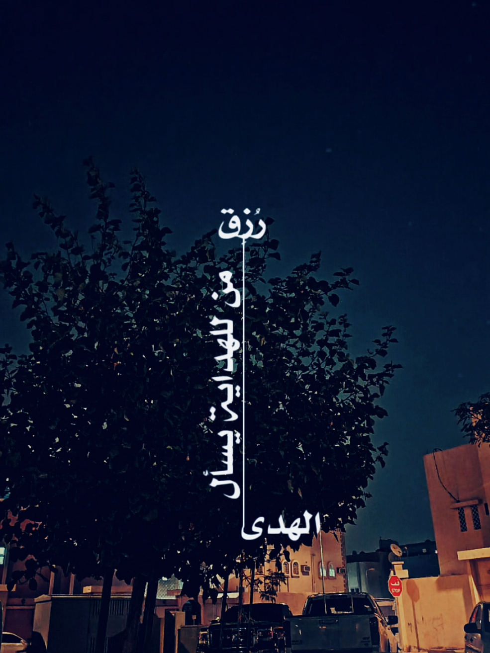 #ياسائلي_عن_مذهبي_وعقيدتي #أناشيد_بدون_موسيقى #نشيد #بدون_موسيقى #أنشودة #اكسبلورexplore 