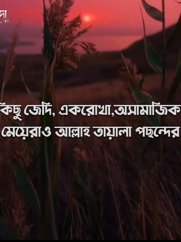 -কিছু জেদি,একরোখা, অসামাজিক  মেয়েরাও আল্লাহ তায়ালার পছন্দ✨💐 #sallahu_alaihi__wasallam #shanjida_107 #foryou #tiktok #tawakkul_believe_in_allaah 