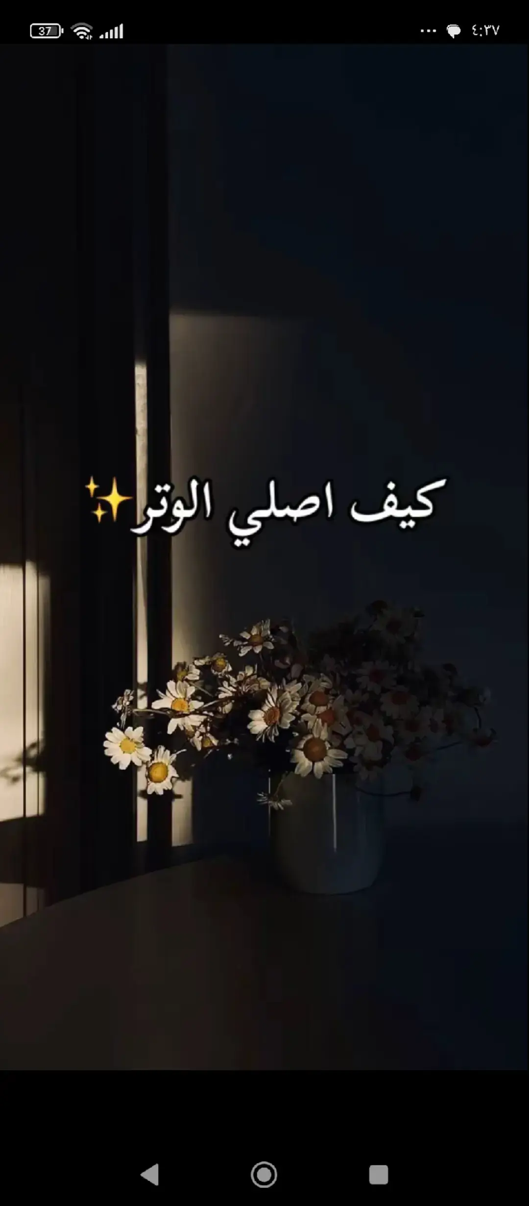 #القران_الكريم_راحه_نفسية😍🕋 #يارب_فرجك_ورحمتك_علينا #يارب #القران_اطمئنان_لقلبك #القران_نور_الحياة 