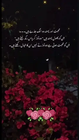 #fypシ゚viral♥️tiktok🦋myvide🥀#makemefamousforever💕tiktok💫 