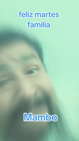 mambo #mambo #martes #fyppppppppppppppppppppppp #tiktokindia #video 