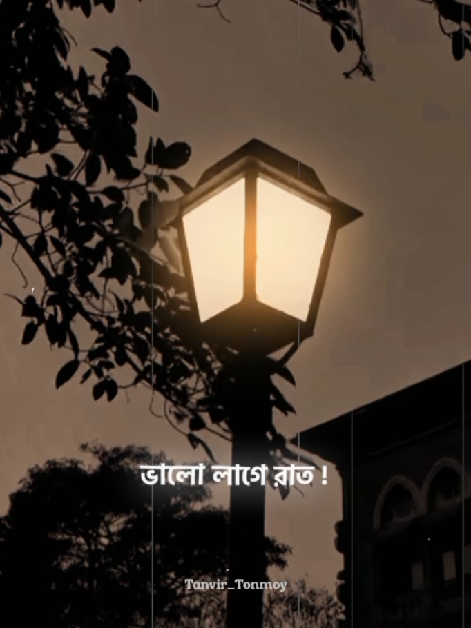 মন যেন এক উদাসী কবি 💟❤️‍🩹 ...... ...... #🖤🦋Black_King🦋🖤 #🖤🦋Lyrical_Tonmoy🖤🦋 #tanvir_tonmoy4 #foryou #foryoupage 