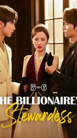 The Billionaire's Stewardess 5-6  🌟 Continue the story here 👉🏻 📲 Download the 