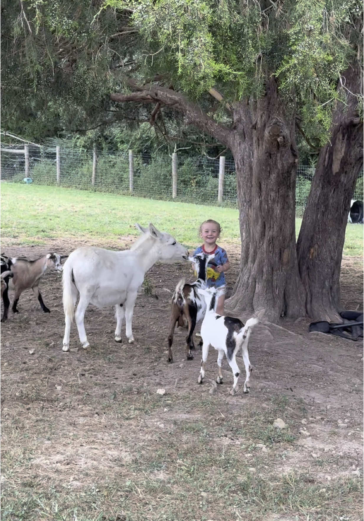 Farm life is the best life❤️