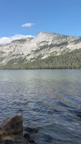 choosing this over the club anyday #yosemitenationalpark #yosemite #tenayalake #naturetok 
